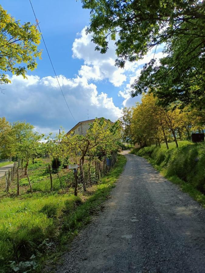סן פיירו אין בניו Agriturismo Al Monte מראה חיצוני תמונה