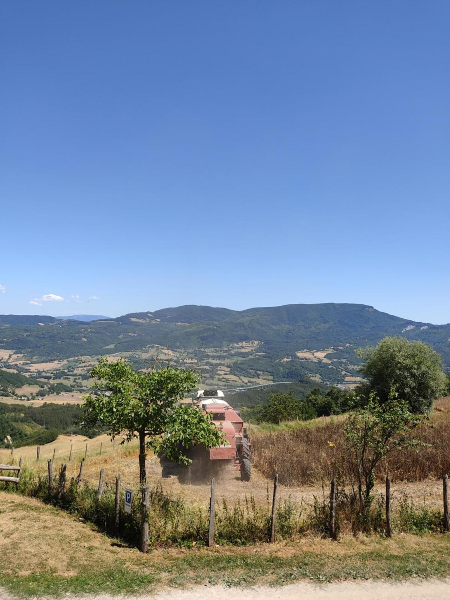 סן פיירו אין בניו Agriturismo Al Monte מראה חיצוני תמונה