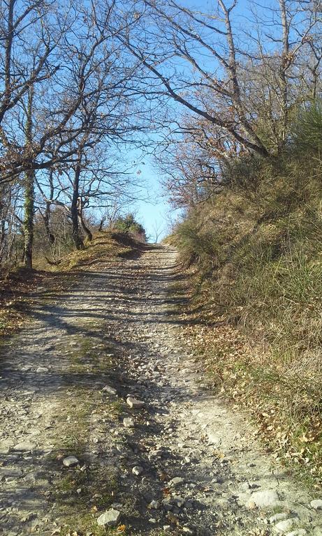 סן פיירו אין בניו Agriturismo Al Monte מראה חיצוני תמונה