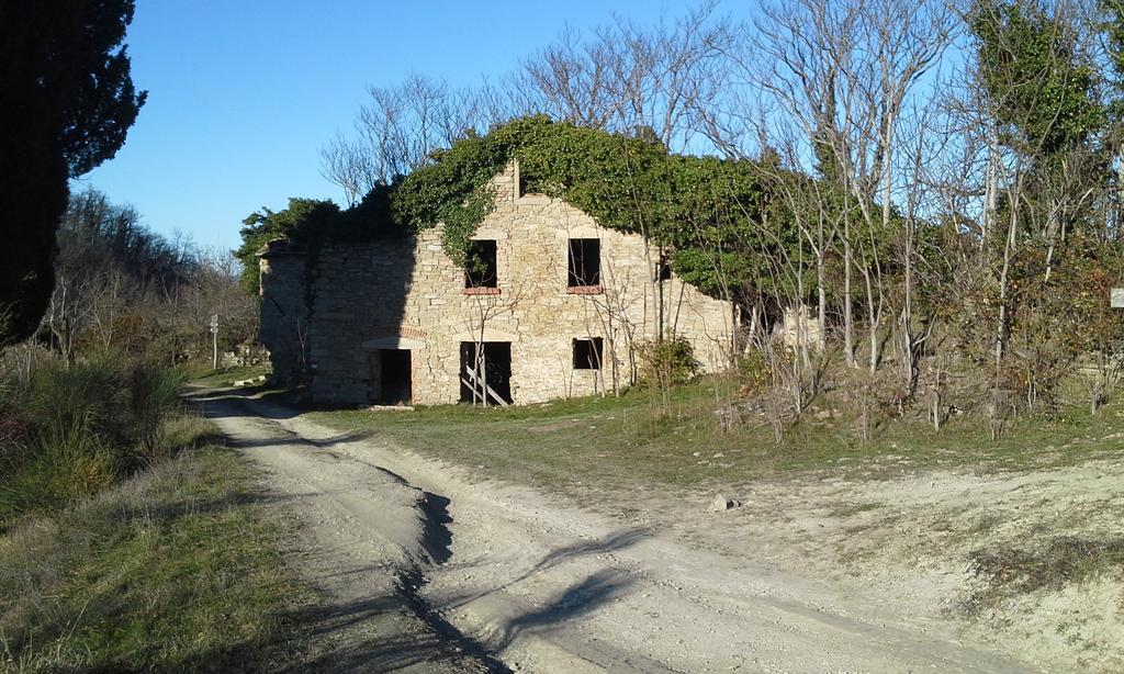 סן פיירו אין בניו Agriturismo Al Monte מראה חיצוני תמונה
