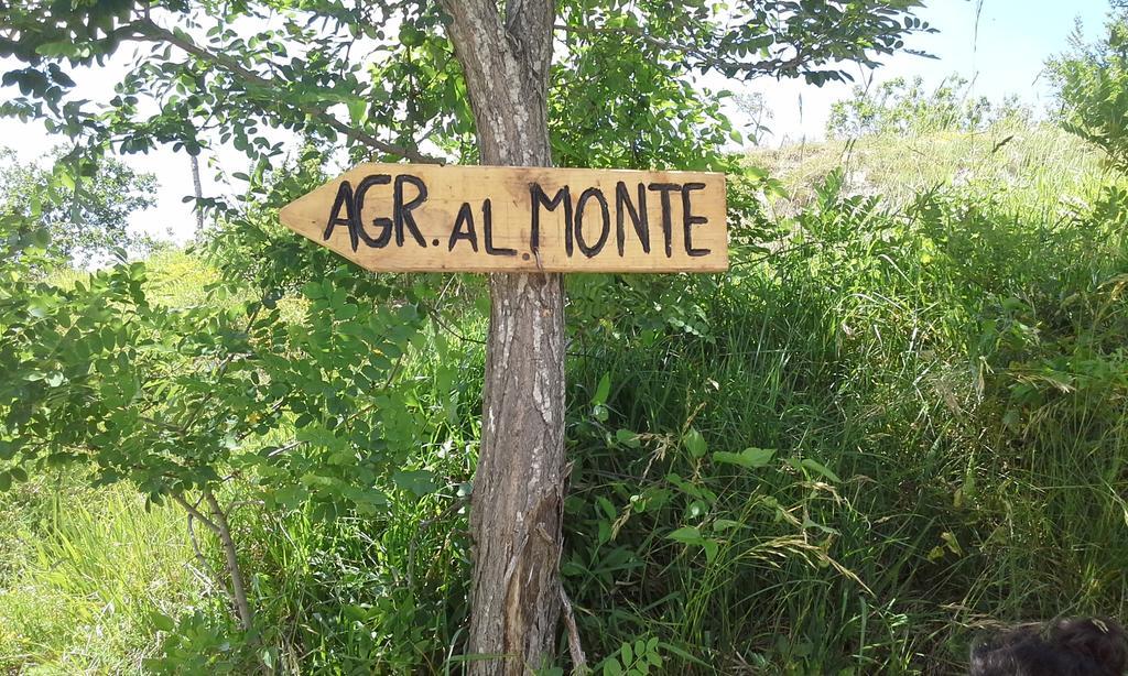 סן פיירו אין בניו Agriturismo Al Monte מראה חיצוני תמונה