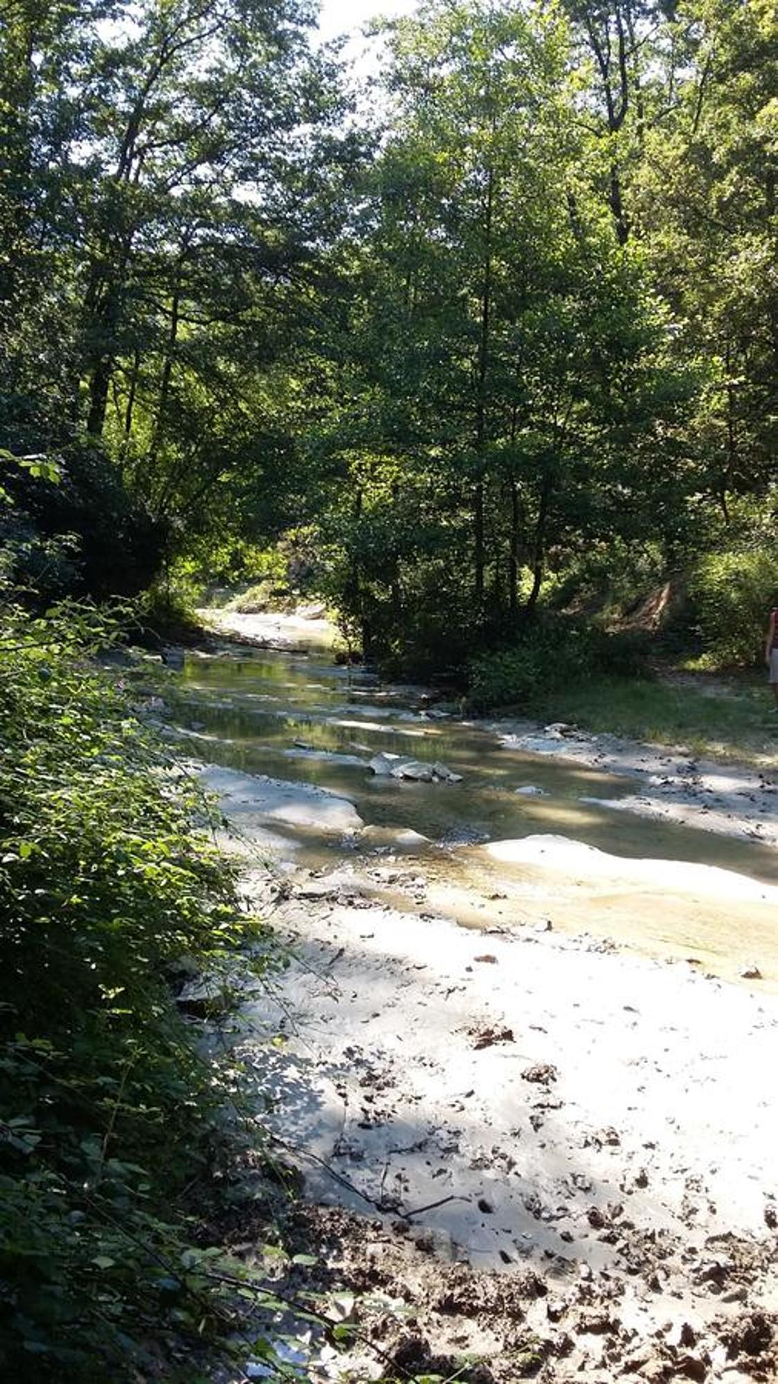 סן פיירו אין בניו Agriturismo Al Monte מראה חיצוני תמונה
