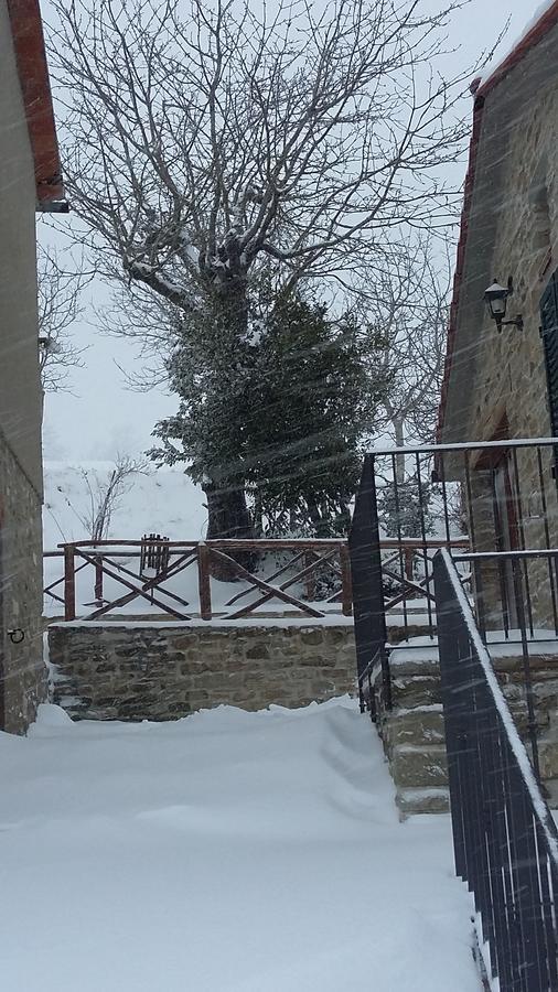 סן פיירו אין בניו Agriturismo Al Monte מראה חיצוני תמונה